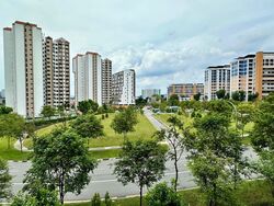 The Garden Residences (D19), Apartment #501446591